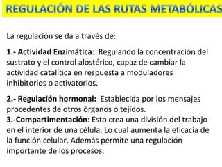 La regulación se da a través de: 1.- Actividad Enzimática :  Regulando la concentración del sustrato y el control alostérico, capaz de cambiar la actividad catalítica en respuesta a moduladores inhibitorios o activatorios. 2.- Regulación hormonal:   Establecida por los mensajes procedentes de otros órganos o tejidos. 3.-Compartimentación : Esto crea una división del trabajo en el interior de una célula. Lo cual aumenta la eficacia de la función celular. Además permite una regulación importante de los procesos. 