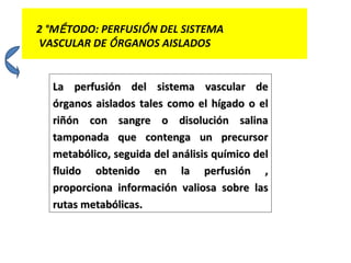 La perfusión del sistema vascular de órganos aislados tales como el hígado o el riñón con sangre o disolución salina tamponada que contenga un precursor metabólico, seguida del análisis químico del fluido obtenido en la perfusión , proporciona información valiosa sobre las rutas metabólicas. 2 °M É TODO: PERFUSI Ó N DEL SISTEMA VASCULAR DE  Ó RGANOS AISLADOS 