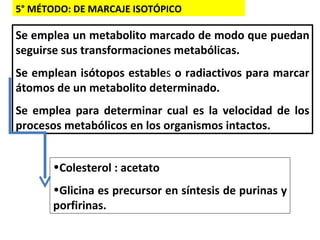 5° MÉTODO: DE MARCAJE ISOTÓPICO Se emplea un metabolito marcado de modo que puedan seguirse sus transformaciones metabólicas. Se emplean isótopos estable s  o radiactivos para marcar átomos de un metabolito determinado.   Se emplea para determinar cual es la velocidad de los procesos metabólicos en los organismos intactos.  Colesterol : acetato Glicina es precursor en síntesis de purinas y porfirinas. 