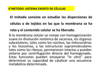 6°METODO: SISTEMA EXENTO DE CÉLULAS El método consiste en estudiar las dispersiones de células o de tejidos en las que la membrana se ha roto y el contenido celular se ha liberado. Si la membrana celular se rompe con homogenización suave en disolución isotónica de sacarosa, los órganos subcelulares, tales como los núcleos, las mitocondrias y los lisosomas, y las estructuras supramoleculares tales como las ribosas, permanecen intactas y pueden aislarse por centrifugación directa del homogenado. Estas funciones pueden ensayarse “in vitro” para determinar su capacidad de catalizar una secuencia metabólica determinada  . 