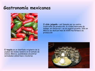 Gastronomía mexicanas El  chile jalapeño  —así llamado por su centro tradicional de producción, la ciudad mexicana de Xalapa, en Veracruz— es un vegetal picante. Sólo en México se dedican más de 6000 hectáreas a su producción El  tequila  es un destilado originario de la ciudad del mismo nombre en el estado de Jalisco México, pudiéndose encontrar variedades ambarinas e incoloras. 
