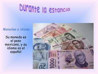 Durante la estancia Monedas e idioma Su moneda es el peso mexicano, y su idioma es el español 