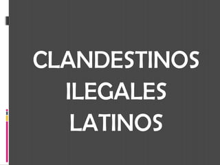 CLANDESTINOS ILEGALES LATINOS 