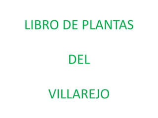 LIBRO DE PLANTAS

      DEL

   VILLAREJO
 