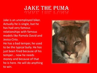 JAKE THE PUMAJake is an unemployed biker. Actually he is single, but he has had very famous relationships with famous models like Pamela David and JesicaCirio. He has a bad temper, he used to be the typical bully. He has just been fired because of his temper… now he needs money and because of that he is here. He will do anything to win.