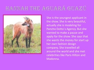 HANNAH THE AGUARÁ GUAZÚ She is the youngest applicant in the show. She is very beautiful, actually she is modeling for Pancho Dotto´s Agency. But she wanted to make a pause and apply for the show. She says that she wants the money for start up her own fashion design company. She travelled all around the world and she met celebrities like Paris Hilton and Madonna.    