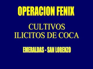 OPERACION FENIX CULTIVOS  ILICITOS DE COCA EMERALDAS - SAN LORENZO 