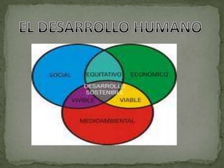 PROBLEMAS DETECTADOSEl diagnóstico situacional expuesto en el literal (3.1) del presente informe ha sido la base de la investigación para detectar las necesidades actuales que viven las personas de la comunidad de LLIO que  el  50%de la juventud tiene solo la instrucción primaria, quienes se dedican a emigrar a las ciudades como Quito, Guayaquil, Puyo etc. Donde buscan mejores condiciones de vida.  El 40%del resto de la juventud que  tienen la instrucción secundaria, quienes al salir del colegio, y no tienen la posibilidades de tener un estudio superior se dedican a la  salir del país como España, Estados Unidos y el resto del Continente Europeo. Tan solo el 10% de la juventud tienen la posibilidad de un estudio superior, con el único objetivo de llegar  a cumplir sus sueños para poder contribuir con el progreso de su comunidad. Las razones expuestas anteriormente, muestran que es indispensable  realizar una investigación que permita además de cumplir con el objetivo primordial que la “Lucha contra la pobreza” y dar pasó al Desarrollo Humano. Ya que las personas positivas, nunca tendrá obstáculos imposibles de vencer, pues el sentirse convencido de sus capacidades y conocimientos lo apoyan y le sugieren seguir siempre adelante, con el sustento de que los tiempos han cambiado, que habido un cambio en la reforma agraria.