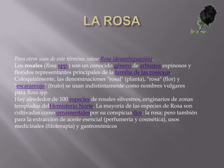 LA ROSAPara otros usos de este término, véase Rosa (desambiguación).Los rosales (Rosa spp.) son un conocido género de arbustos espinosos y floridos representantes principales de la familia de las rosáceas. Coloquialmente, las denominaciones "rosal" (planta), "rosa" (flor) y "escaramujo" (fruto) se usan indistintamente como nombres vulgares para Rosa spp.Hay alrededor de 100 especies de rosales silvestres, originarios de zonas templadas delHemisferio Norte. La mayoría de las especies de Rosa son cultivadas como ornamentalespor su conspicua flor: la rosa; pero también para la extracción de aceite esencial (perfumería y cosmética), usos medicinales (fitoterapia) y gastronómicos