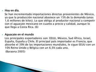 Hoy en día.    Se han incrementado importaciones directas provenientes de México, ya que la producción nacional abastece un 15% de la demanda (unos 1,6 millones de kilos). Lo que obliga al productor nacional a competir con el aguacate mexicano en cuanto a precio y calidad, aunque lo que llega a Costa Rica. (6)Aguacate en el mundo   Los principales exportadores son: EEUU, México, Sud África, Israel, España, España y Chile. El principal país importador es Francia, que absorbe el 39% de las importaciones mundiales, le sigue EEUU con un 10% Reino Unido y Bélgica con un 6,5% cada uno.     (Baraona 2005)