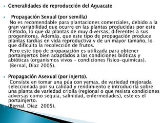 Generalidades de reproducción del Aguacate  Propagación Sexual (por semilla)    No es recomendable para plantaciones comerciales, debido a la gran variabilidad que ocurre en las plantas producidas por este método, lo que da plantas de muy diversas, diferentes a sus progenitores. Además, que este tipo de propagación produce plantas tardías en vida reproductiva y de un mayor tamaño, lo que dificulta la recolección de frutos.    Pero este tipo de propagación es utilizada para obtener portainjertos bien adaptados a las condiciones bióticas y abióticas (organismos vivos – condiciones físico-químicas).    (Bernal, Díaz 2005).Propagación Asexual (por injerto).    Consiste en tomar una púa con yemas, de variedad mejorada seleccionada por su calidad y rendimiento e introducirla sobre una planta de variedad criolla (regional o que resista condiciones adversas como sequía, salinidad, enfermedades), este es el portainjerto.(Bernal, Díaz  2005).
