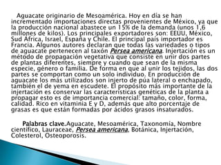       Aguacate originario de Mesoamérica. Hoy en día se han incrementado importaciones directas provenientes de México, ya que la producción nacional abastece un 15% de la demanda (unos 1,6 millones de kilos). Los principales exportadores son: EEUU, México, Sud África, Israel, España y Chile. El principal país importador es Francia. Algunos autores declaran que todas las variedades o tipos de aguacate pertenecen al taxón Persea americana.Injertación es un método de propagación vegetativa que consiste en unir dos partes de plantas diferentes, siempre y cuando que sean de la misma especie, género o familia. De forma en que al unir los tejidos, las dos partes se comportan como un solo individuo. En producción de aguacate los más utilizados son injerto de púa lateral o enchapado, también el de yema en escudete. El propósito más importante de la injertación es conservar las características genéticas de la planta a propagar esto es de importancia comercial: tamaño, color, forma, calidad. Rico en vitaminia E y D, además que alto porcentaje de grasas es que están formadas por ácidos grasos insaturados.           Palabras clave.Aguacate, Mesoamérica, Taxonomía, Nombre científico, Lauraceae, Persea americana, Botánica, Injertación, Colesterol, Osteoporosis.