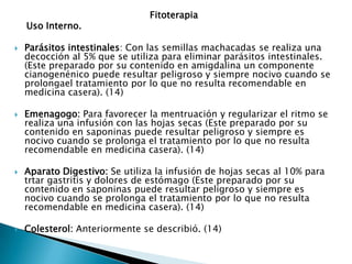 Fitoterapia    Uso Interno.Parásitos intestinales: Con las semillas machacadas se realiza una decocción al 5% que se utiliza para eliminar parásitos intestinales. (Este preparado por su contenido en amigdalina un componente cianogenénico puede resultar peligroso y siempre nocivo cuando se prolongael tratamiento por lo que no resulta recomendable en medicina casera). (14)Emenagogo: Para favorecer la mentruación y regularizar el ritmo se realiza una infusión con las hojas secas (Este preparado por su contenido en saponinas puede resultar peligroso y siempre es nocivo cuando se prolonga el tratamiento por lo que no resulta recomendable en medicina casera). (14)Aparato Digestivo: Se utiliza la infusión de hojas secas al 10% para trtar gastritis y dolores de estómago (Este preparado por su contenido en saponinas puede resultar peligroso y siempre es nocivo cuando se prolonga el tratamiento por lo que no resulta recomendable en medicina casera). (14)Colesterol: Anteriormente se describió. (14) 