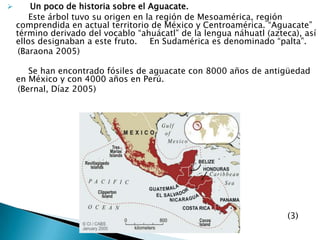 Un poco de historia sobre el Aguacate.        Este árbol tuvo su origen en la región de Mesoamérica, región comprendida en actual territorio de México y Centroamérica. “Aguacate” término derivado del vocablo “ahuácatl” de la lengua náhuatl (azteca), así ellos designaban a este fruto.En Sudamérica es denominado “palta”.     (Baraona 2005)        Se han encontrado fósiles de aguacate con 8000 años de antigüedad en México y con 4000 años en Perú.    (Bernal, Díaz 2005)(3)