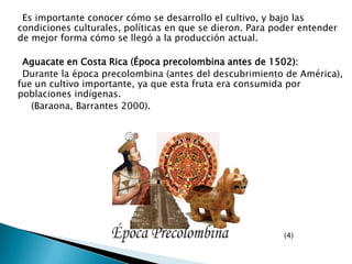      Es importante conocer cómo se desarrollo el cultivo, y bajo las condiciones culturales, políticas en que se dieron. Para poder entender de mejor forma cómo se llegó a la producción actual.     Aguacate en Costa Rica (Época precolombina antes de 1502):      Durante la época precolombina (antes del descubrimiento de América), fue un cultivo importante, ya que esta fruta era consumida por poblaciones indígenas.        (Baraona, Barrantes 2000).                                                                                                                       (4) 