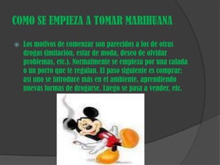 COMO SE EMPIEZA A TOMAR MARIHUANALos motivos de comenzar son parecidos a los de otras drogas (imitación, estar de moda, deseo de olvidar problemas, etc.). Normalmente se empieza por una calada o un porro que te regalan. El paso siguiente es comprar: así uno se introduce más en el ambiente, aprendiendo nuevas formas de drogarse. Luego se pasa a vender, etc. 