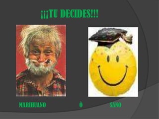 ¡¡¡TU DECIDES!!!MARIHUANO                      Ò                  SANO