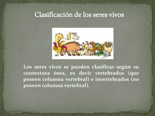 Clasificación de los seres vivosLos seres vivos se pueden clasificar según su contextura ósea, es decir vertebrados (que poseen columna vertebral) e invertebrados (no poseen columna vertebral).