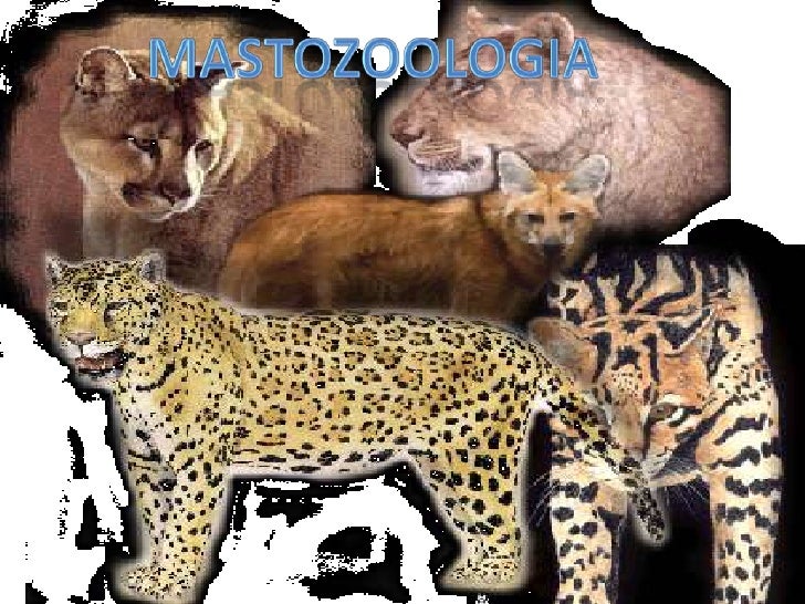 Biologia Biologia