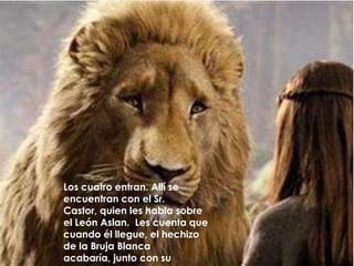 Los cuatro entran. Allí se encuentran con el Sr. Castor, quien les habla sobre el León Aslan. Les cuenta que cuando él llegue, el hechizo de la Bruja Blanca acabaría, junto con su reinado.