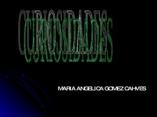 CURIOSIDADES MARIA ANGELICA GOMEZ CAHVES 
