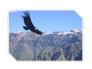 PATRIMONIO NATURAL DEL PERU