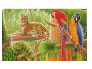 PATRIMONIO NATURAL DEL PERU