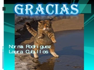 Norma Rodríguez Laura Cubillos 