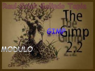 RaulErick Galindo Tapia GIMP MODULO 