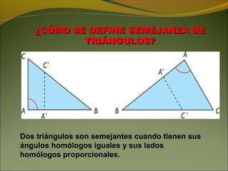 ¿CÓMO SE DEFINE SEMEJANZA DE¿CÓMO SE DEFINE SEMEJANZA DE
TRIÁNGULOS?TRIÁNGULOS?
Dos triángulos son semejantes cuando tienen sus
ángulos homólogos iguales y sus lados
homólogos proporcionales.
 