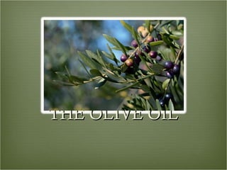 THE OLIVE OILTHE OLIVE OIL
 