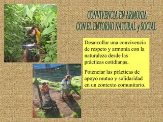 Desarrollar una convivencia
de respeto y armonía con la
naturaleza desde las
prácticas cotidianas.
Potenciar las prácticas de
apoyo mutuo y solidaridad
en un contexto comunitario.
 
