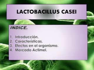 ÍNDICE.
1. Introducción
2. Características.
3. Efectos sobre el organismo.
4. Mercado Actimel.
LACTOBACILLUS CASEILACTOBACILLUS CASEI
LACTOBACILLUS CASEI
 