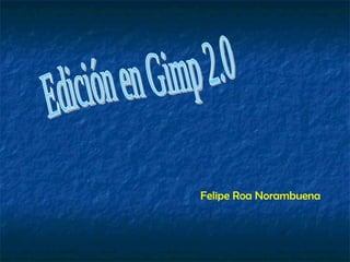 Edición en Gimp 2.0 Felipe Roa Norambuena 