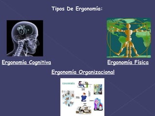 Tipos De Ergonomía: Ergonomía Cognitiva Ergonomía Física Ergonomía Organizacional 