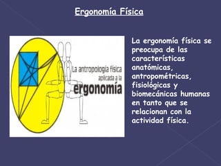 Ergonomía Física La ergonomía física se preocupa de las características anatómicas, antropométricas, fisiológicas y biomecánicas humanas en tanto que se relacionan con la actividad física. 