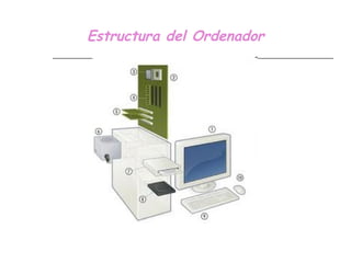 Estructura del Ordenador 