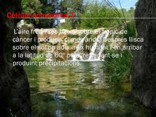 Cèl·lula convectiva 2 L’aire fred i sec baixa sobre el tropic de càncer i produeix climes àrids. Després llisca sobre el sòl on adquireix humitat i en arribar a la latitud de 60º puja, refredant-se i produint precipitacions. 