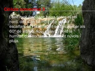 Cèl·lula convectiva 3 L’aire molt fred i sec baixa sobre el pol nord, des d’on es mou cap al sud escalfant-se i humitejant-se fins arribar als 60º de latitud. Aquí s’eleva i perd la humitat que contenia provocant núvols i pluja. 