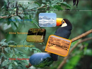 EL CLIMA Estableix quins agents de modelat del relleu actuaran. Cada clima té un agent erosiu característic.  Clima Polar o fred Clima Temperat Clima Calid desertic Clima Equatorial 