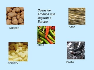 NUECES PALMITO Cosas de América que llegaron a Europa ORO PLATA CHILE 