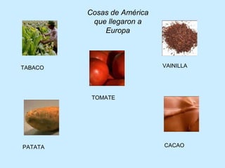 TABACO TOMATE CACAO PATATA VAINILLA Cosas de América que llegaron a Europa 