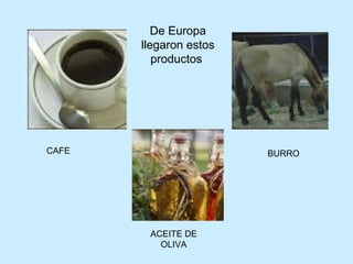 De Europa llegaron estos productos  CAFE BURRO ACEITE DE OLIVA                                                                                                                                                                                                                                                                                                                                                                                                                                                                                