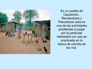 Es un pueblo de Cazadores , Recolectores y Pescadores esta es una de las actividades predilectas a juzgar por la particular intensidad con que es practicada en la época de crecida de los ríos  