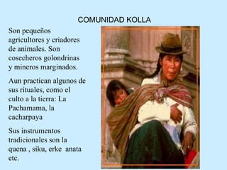 COMUNIDAD KOLLA Son pequeños agricultores y criadores de animales. Son cosecheros golondrinas  y mineros marginados. Aun practican algunos de sus rituales, como el culto a la tierra: La Pachamama, la cacharpaya  Sus instrumentos tradicionales son la quena , siku, erke  anata etc. .  