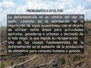PROBLEMÁTICAEN EL PAÍS
La deforestación es un cambio del uso de
suelo, consiste en la eliminación de la
vegetación de algún ecosistema, con el objeto
de utilizar estas áreas para actividades
agrícolas, ganaderas o urbanas o derivada de
la tala ilegal, lo que impide su recuperación.
Una de las causas fundamentales de la
deforestación es el aumento de la producción
de alimentos para consumo humano o ganado.
 