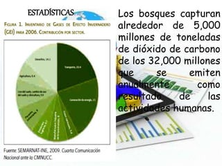 ESTADÍSTICAS Los bosques capturan
alrededor de 5,000
millones de toneladas
de dióxido de carbono
de los 32,000 millones
que se emiten
anualmente como
resultado de las
actividades humanas.
 