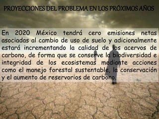 PROYECCIONES DEL PROBLEMA EN LOS PRÓXIMOS AÑOS
En 2020 México tendrá cero emisiones netas
asociadas al cambio de uso de suelo y adicionalmente
estará incrementando la calidad de los acervos de
carbono, de forma que se conserve la biodiversidad e
integridad de los ecosistemas mediante acciones
como el manejo forestal sustentable, la conservación
y el aumento de reservorios de carbono.
 