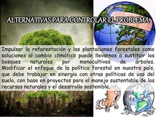 ALTERNATIVAS PARA CONTROLAR EL PROBLEMA
Impulsar la reforestación y las plantaciones forestales como
soluciones al cambio climático puede llevarnos a sustituir los
bosques naturales por monocultivos de árboles.
Modificar el enfoque de la política forestal en nuestro país,
que debe trabajar en sinergia con otras políticas de uso del
suelo, con base en proyectos para el manejo sustentable de los
recursos naturales y el desarrollo sostenible.
 