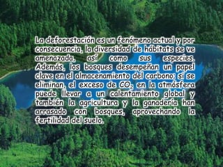 La deforestación es un fenómeno actual y por
consecuencia, la diversidad de hábitats se ve
amenazada, así como sus especies.
Además, los bosques desempeñan un papel
clave en el almacenamiento del carbono; si se
eliminan, el exceso de CO2 en la atmósfera
puede llevar a un calentamiento global y
también la agricultura y la ganadería han
arrasado con bosques, aprovechando la
fertilidad del suelo.
 